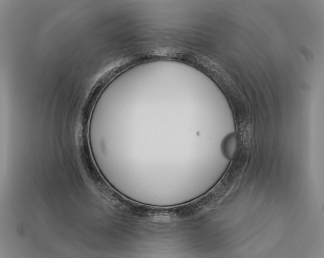 X0000113020587200909241637