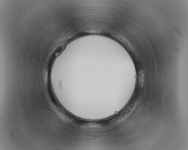 X0000113020589200909241637