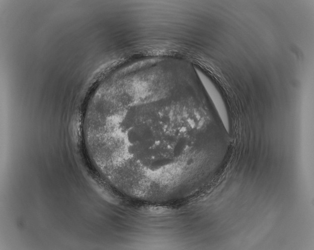 X0000113020590200909241637