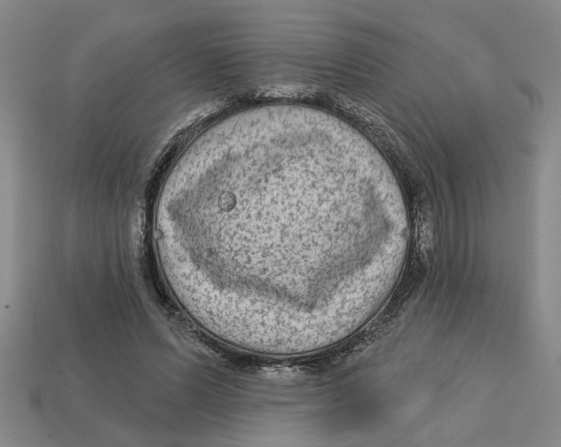 X0000113020591200909241637