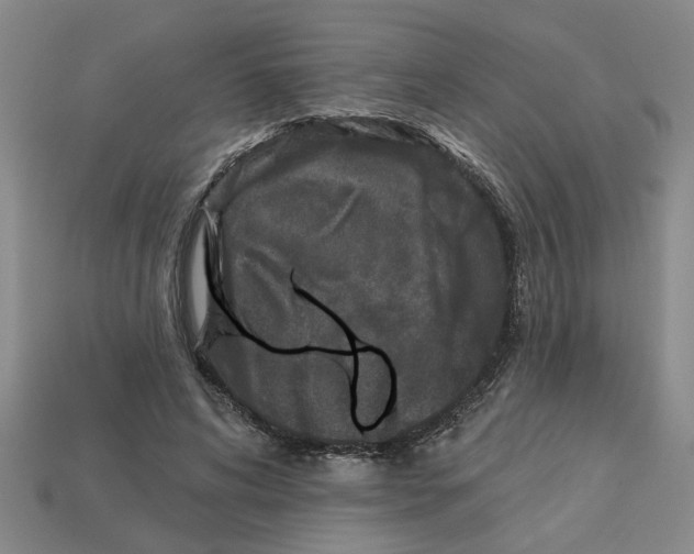 X0000113020592200909241637