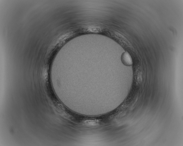 X0000113020595200909241637