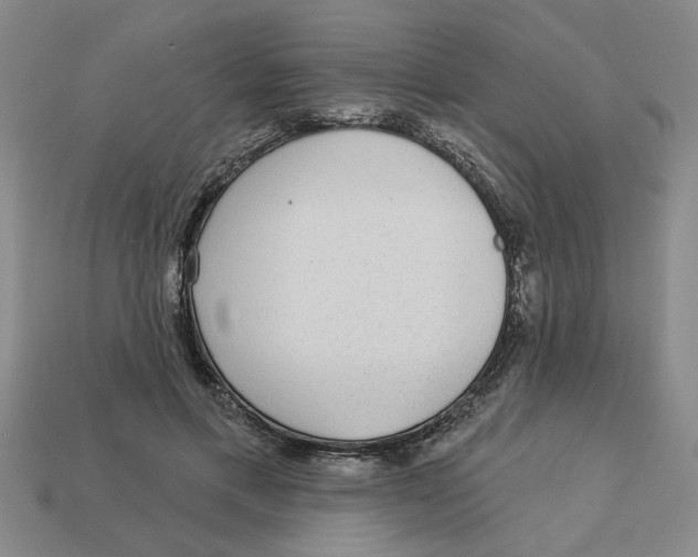 X0000113020597200909241637