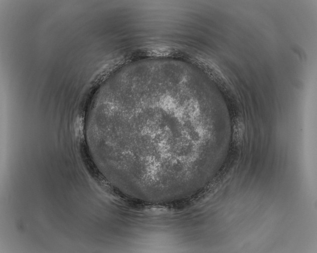 X0000113020598200909241637