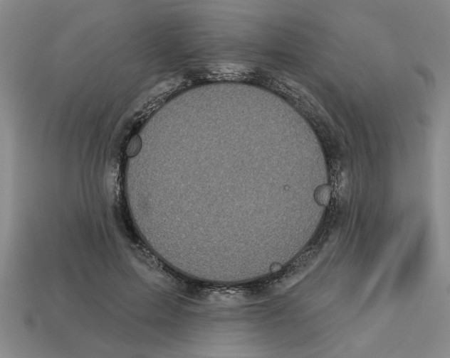 X0000113020599200909241637