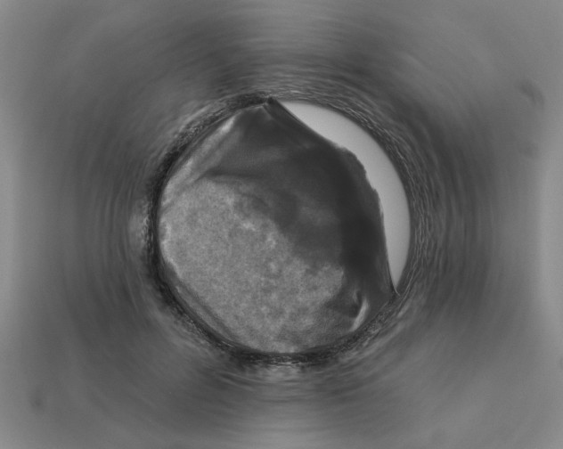 X0000113020600200909241637