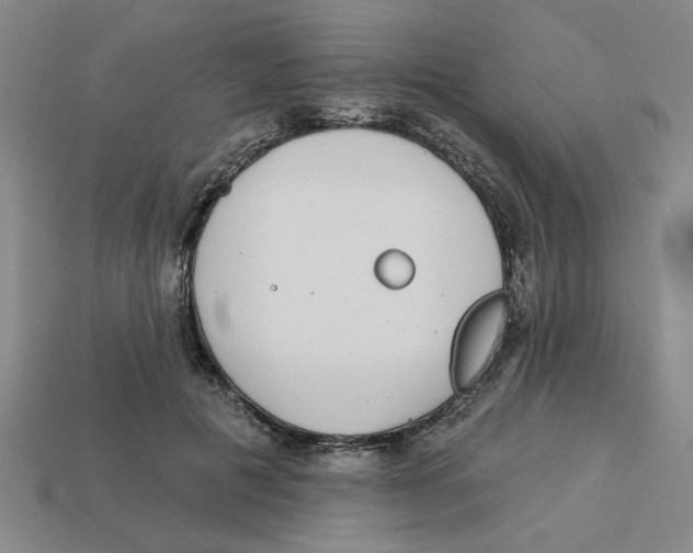 X0000113020601200909241637