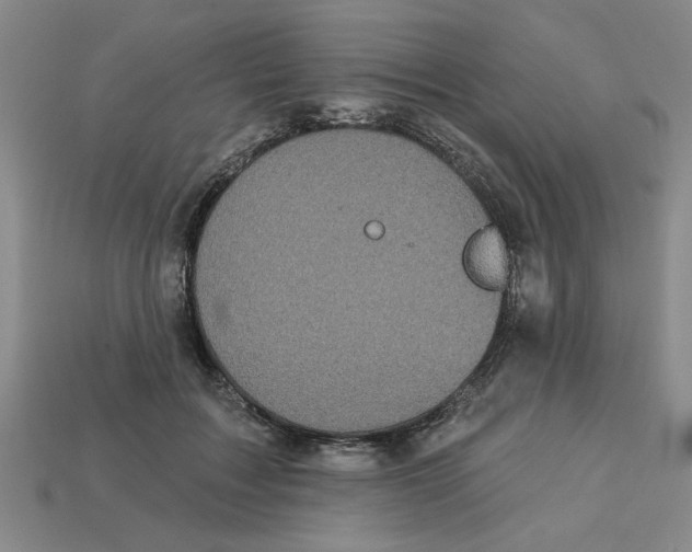 X0000113020603200909241636