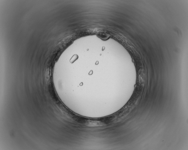 X0000113020605200909241636