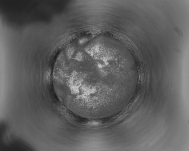 X0000113020610200909241636