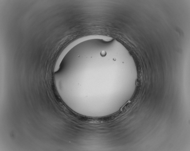 X0000113020611200909241636