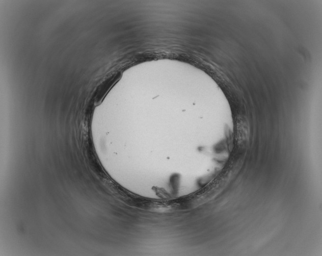 X0000113020613200909241636