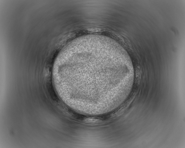 X0000113020614200909241636