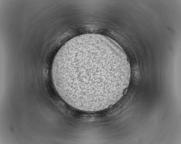 X0000113020615200909241636