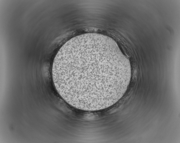 X0000113020616200909241636