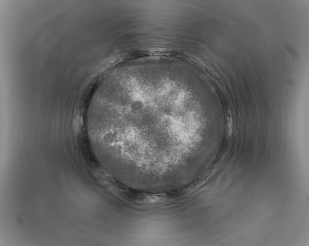 X0000113020618200909241636