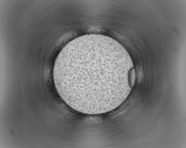 X0000113020619200909241636