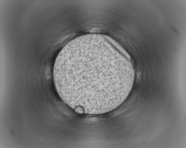 X0000113020620200909241636