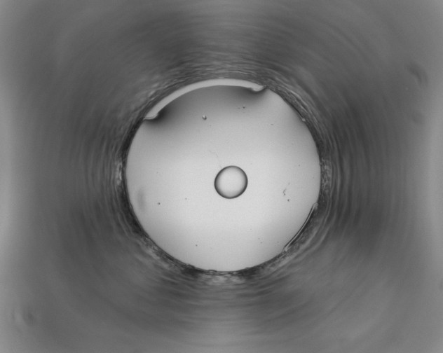 X0000113020621200909241636