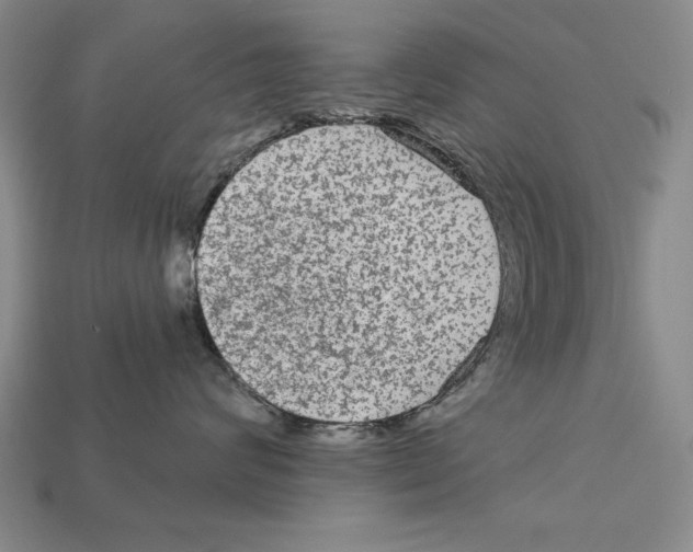 X0000113020624200909241636