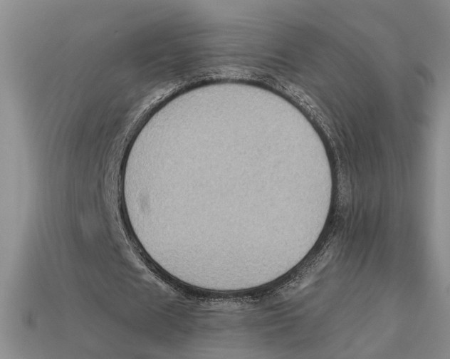 X0000113020625200909241635