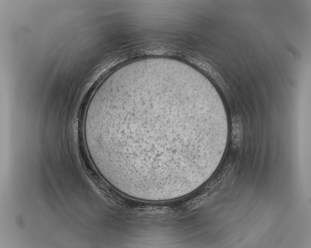 X0000113020626200909241635