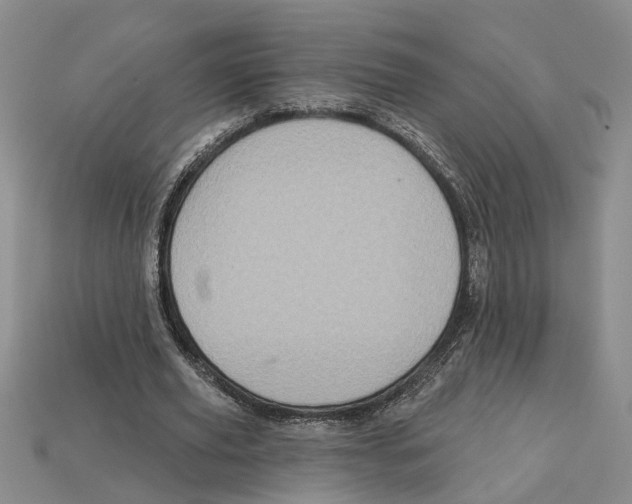 X0000113020629200909241635