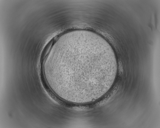 X0000113020630200909241635