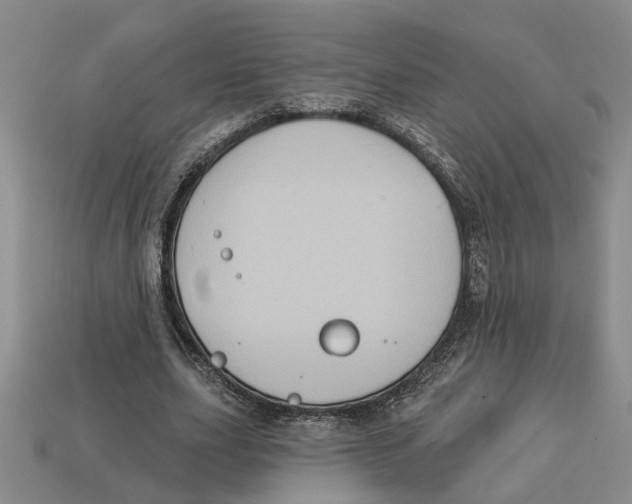 X0000113020631200909241635