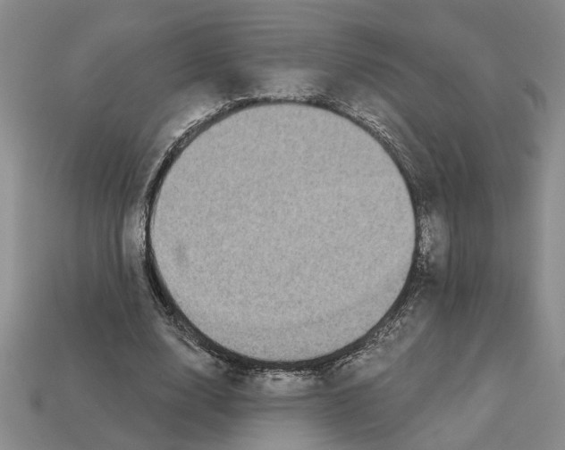 X0000113020632200909241636