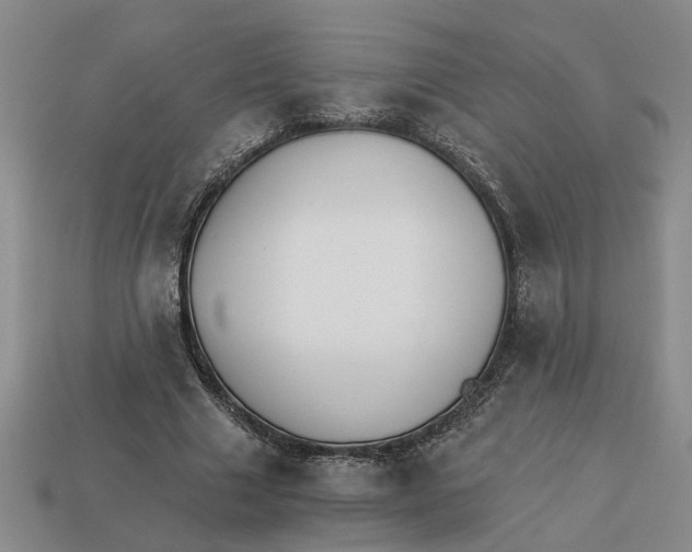 X0000113020633200909241636