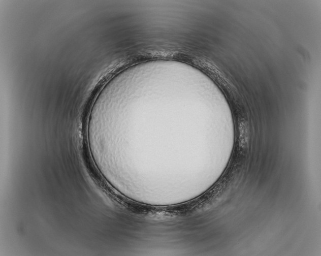 X0000113020634200909241636