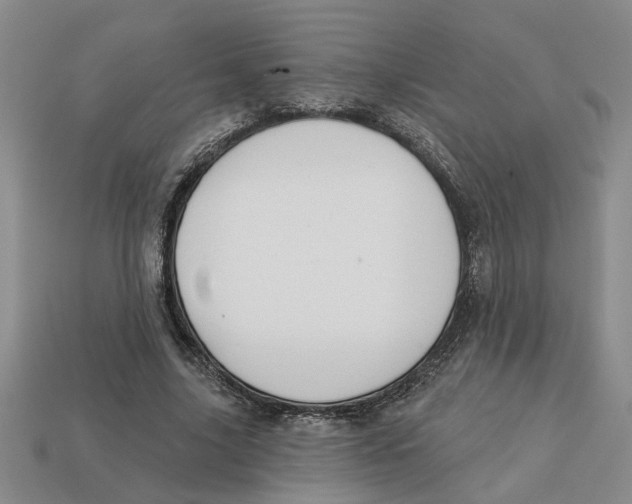 X0000113020635200909241636