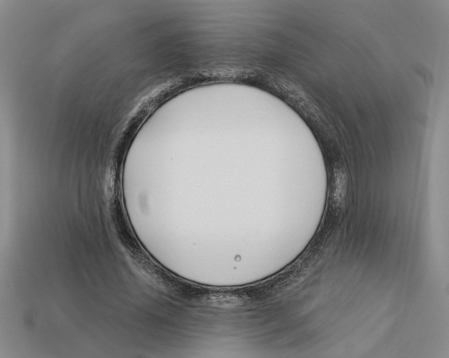 X0000113020636200909241636