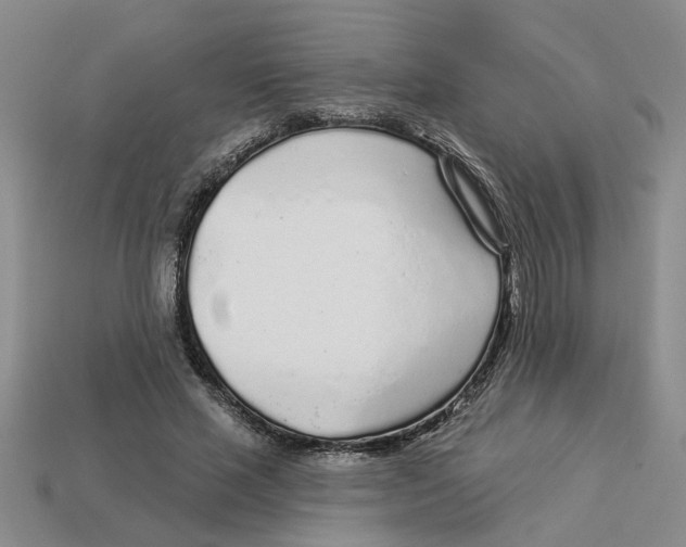 X0000113020637200909241636