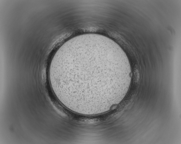 X0000113020638200909241636