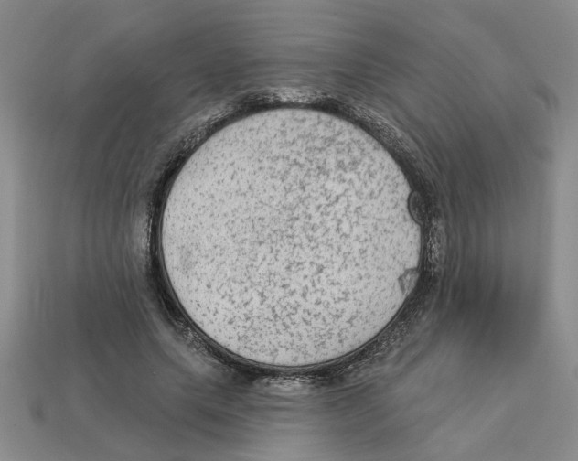 X0000113020639200909241636