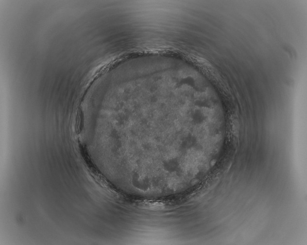 X0000113020640200909241636