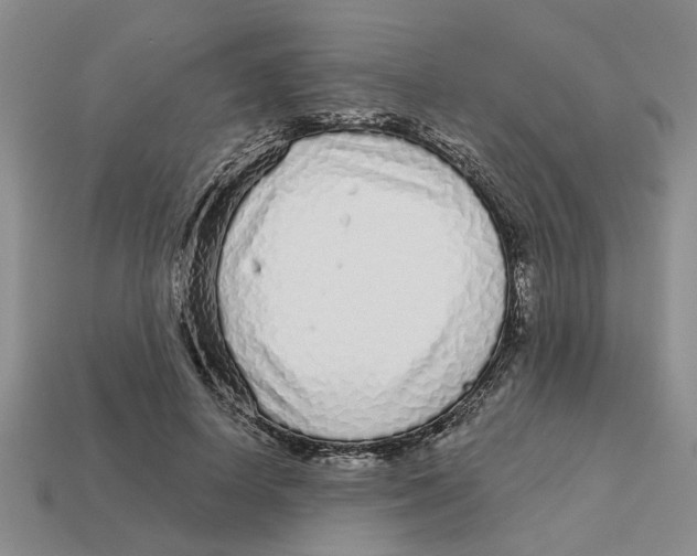 X0000113020642200909241636