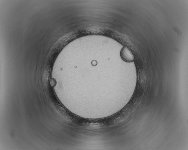 X0000113020645200909241636