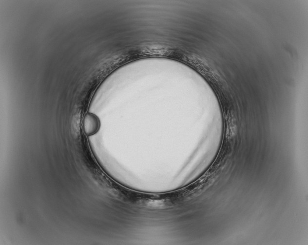 X0000113020647200909241636