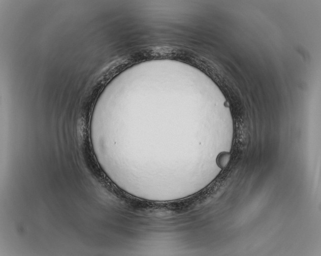 X0000113020648200909241636