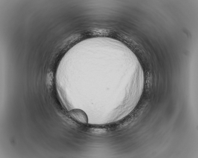 X0000113020649200909241636