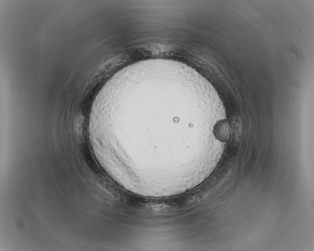 X0000113020650200909241636