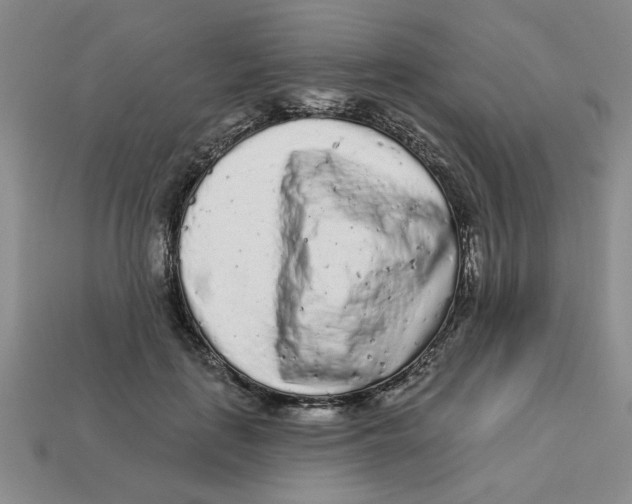 X0000113020651200909241636