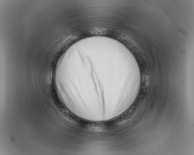 X0000113020652200909241636