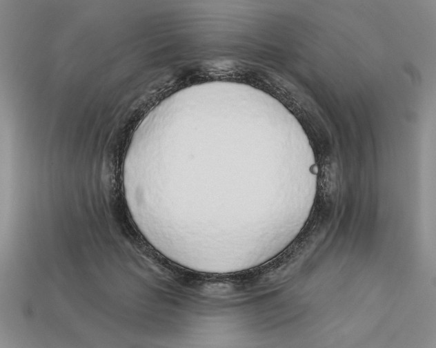 X0000113020653200909241636