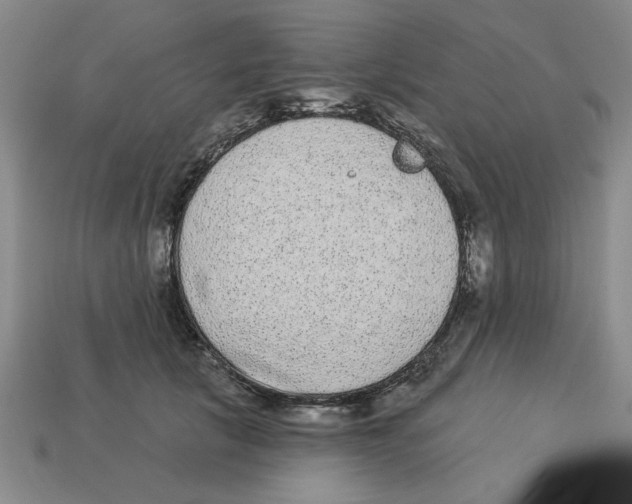 X0000113020657200909241636