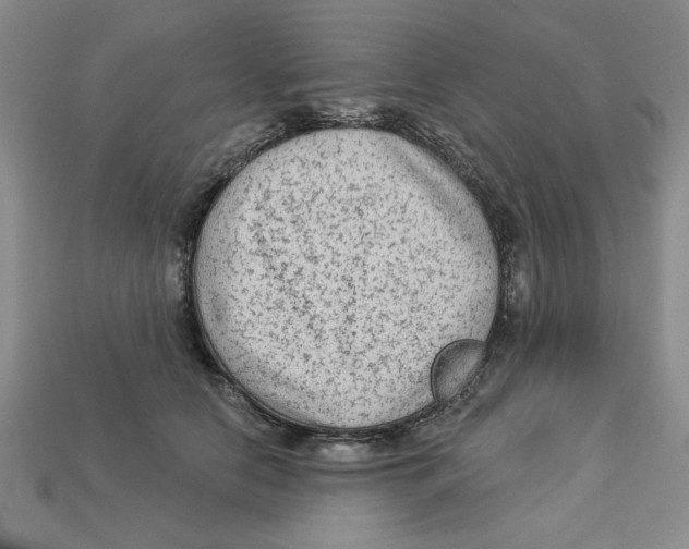 X0000113020658200909241636