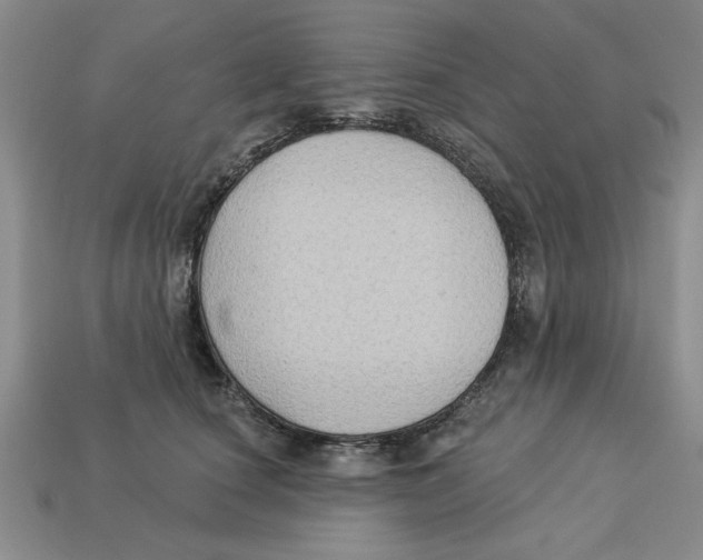 X0000113020660200909241636